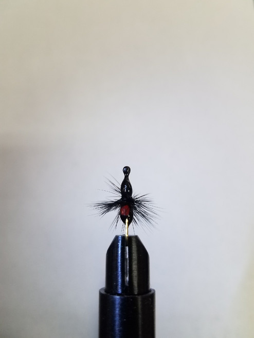 Size 8 Ant Powder Coated