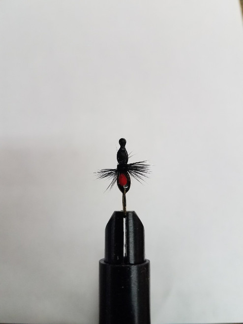 Size 6 Ant Powder Coated